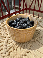 Textured Dessert Bowl